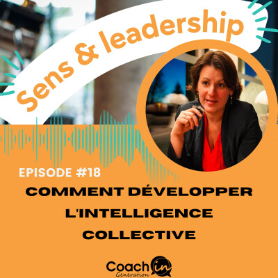 Episode #18 - Comment developper l'intelligence collective cover