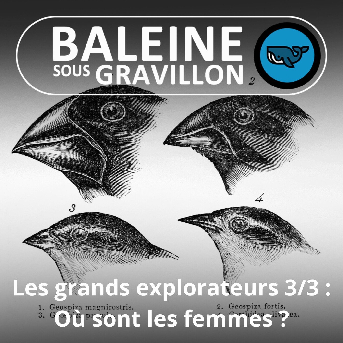 HORS-SÉRIE Les grands explorateurs 3/3 : Où sont les femmes ?