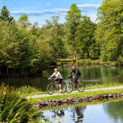 Avez-vous vu les 1000 étangs ? cover