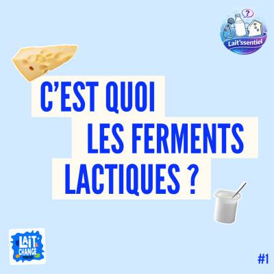 C'est quoi les ferments lactiques ? - LAIT'SSENTIEL #1 cover