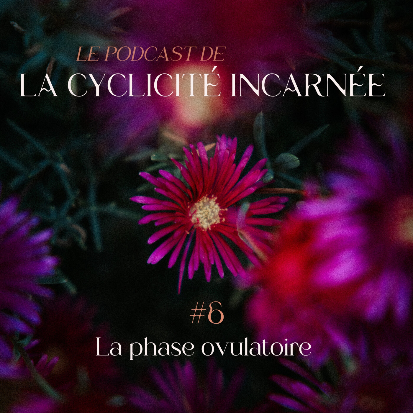 Cyclicité Incarnée