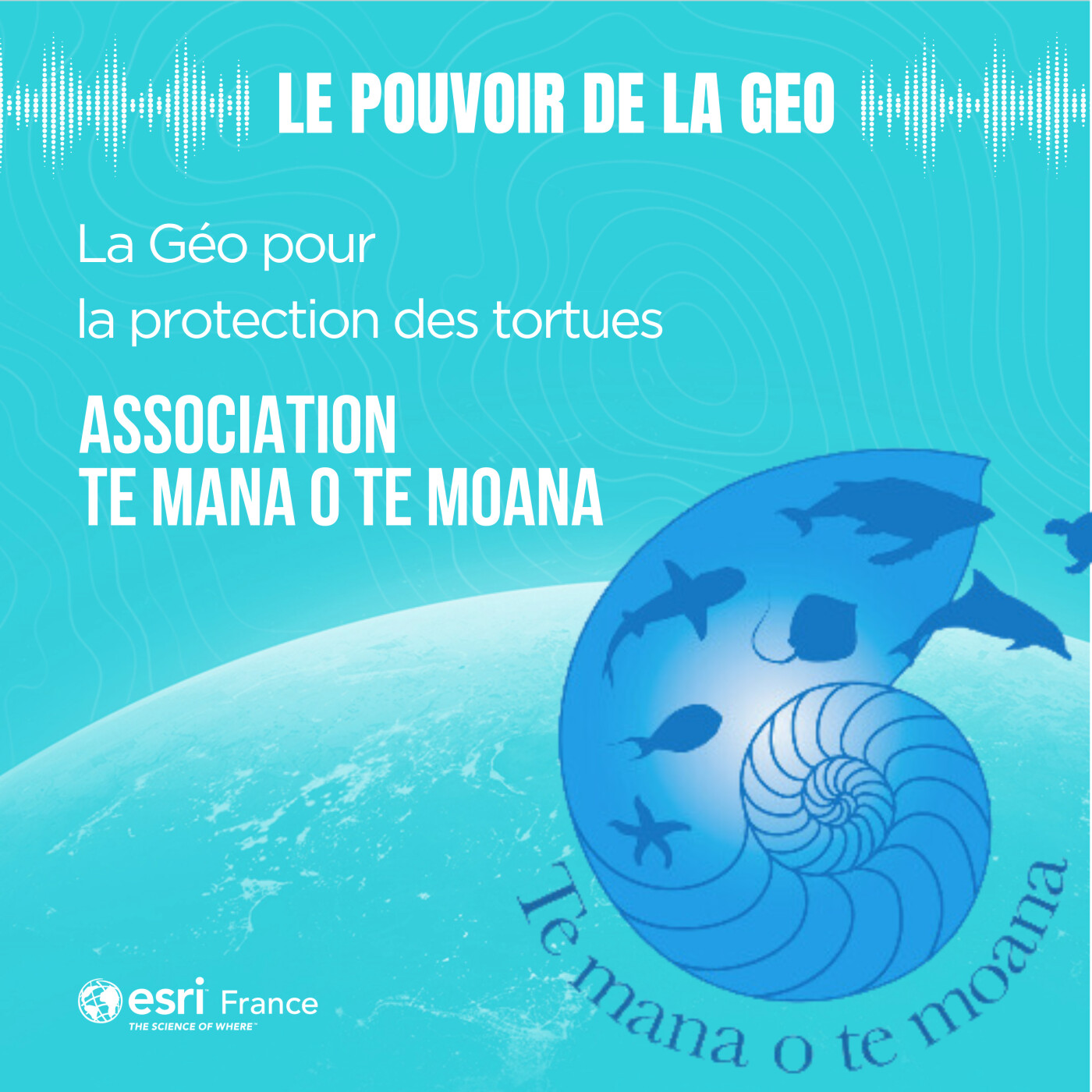 Le SIG pour la protection des tortues marines - Te Mana o Te Moana