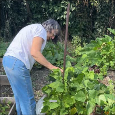 Catherine Domine, Vice-Présidente du Jardin partagé des Roses cover
