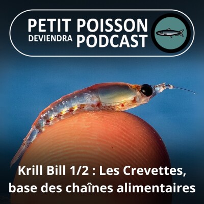 S03E38 Krill Bill 1/2 : Des crevettes en "pôle" position des chaînes alimentaires (Bill François) cover