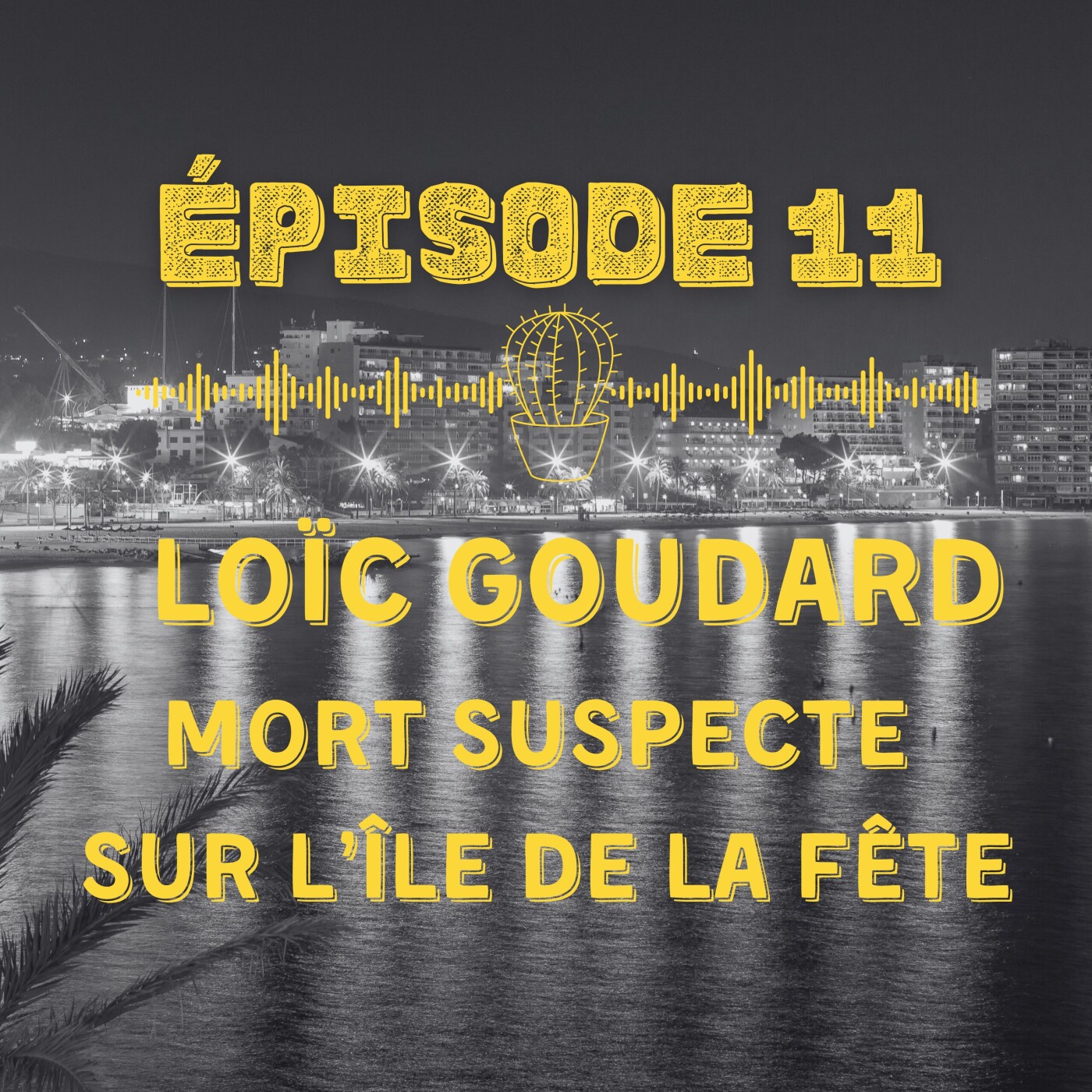 Loïc Goudard : mort suspecte sur l’île de la fête