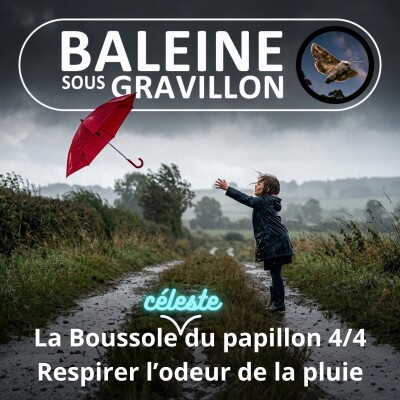 S08E15 La Boussole céleste du papillon 4/4 : Pourquoi on aime tant l'odeur de la pluie ? (Benoît Prospero) cover
