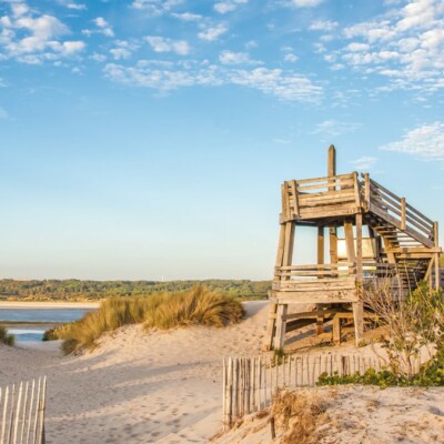 Hauts-de-France : Un parc naturel de toute beauté ! cover