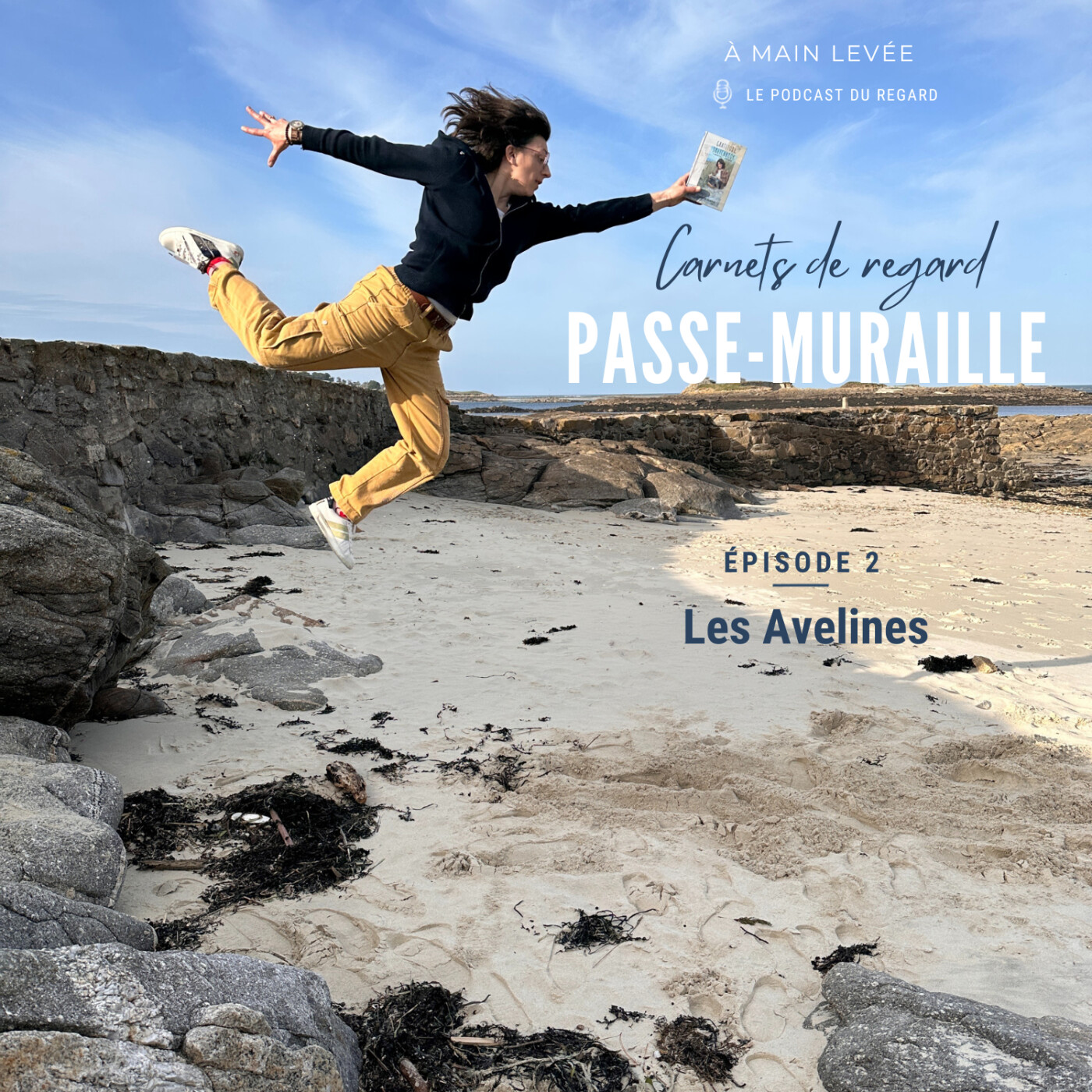 Passe Muraille #2 — Le musée des Avelines: le ciel de Saint-Cloud episode artwork