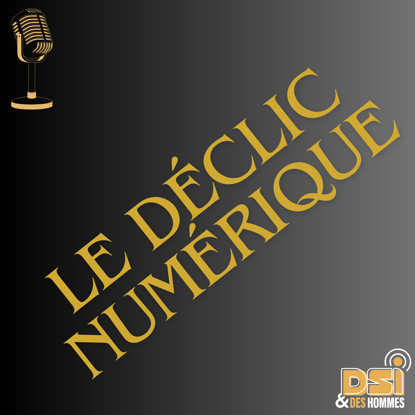 DSI et des Hommes