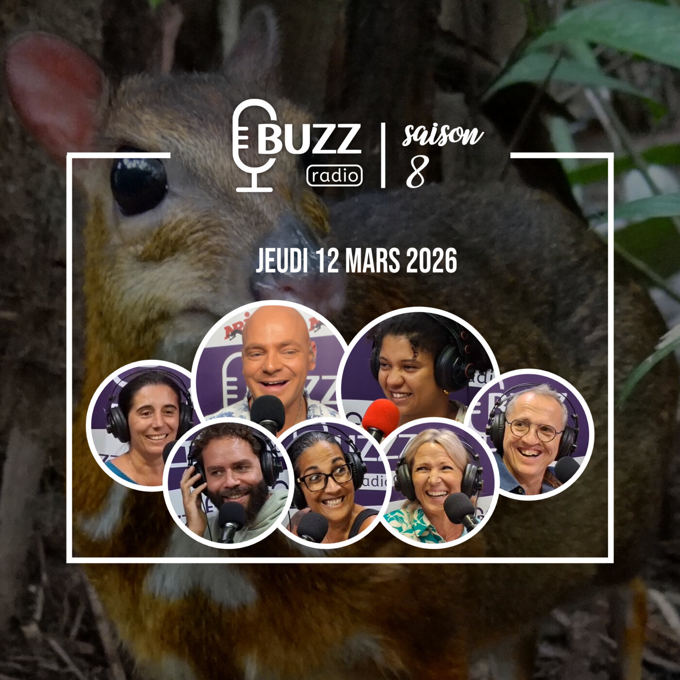 Jeudi 12/02/2026 - Le chevrotain, le plus petit ongulé de la planète episode artwork