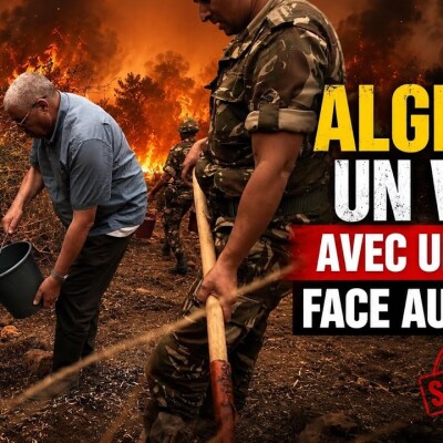 Des seaux d'eau contre l'enfer : La vérité amère sur les incendies de forêt en Algérie cover