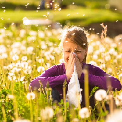 Pourquoi le pollen évolue avec le climat ? cover