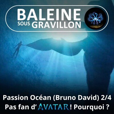 S08E19 Passion Océan 2/4 : "Avatar est tellement moins original que la Vie elle-même !" (Bruno David) cover