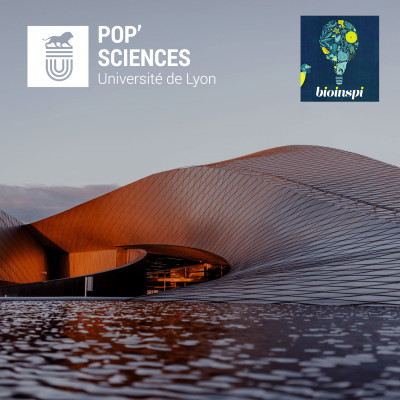 Architecture biomimétique : le nouveau souffle du bâtiment cover