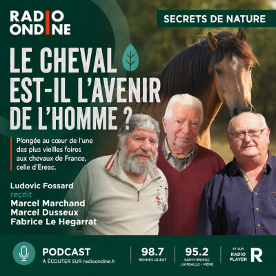 Le cheval est-il l’avenir de l’homme ? cover