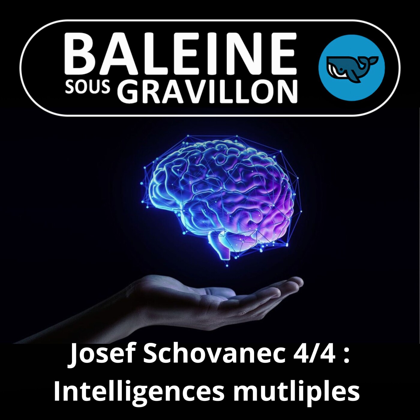 HORS-SÉRIE Autisme 4/4 : Intelligences multiples (Josef Schovanec)