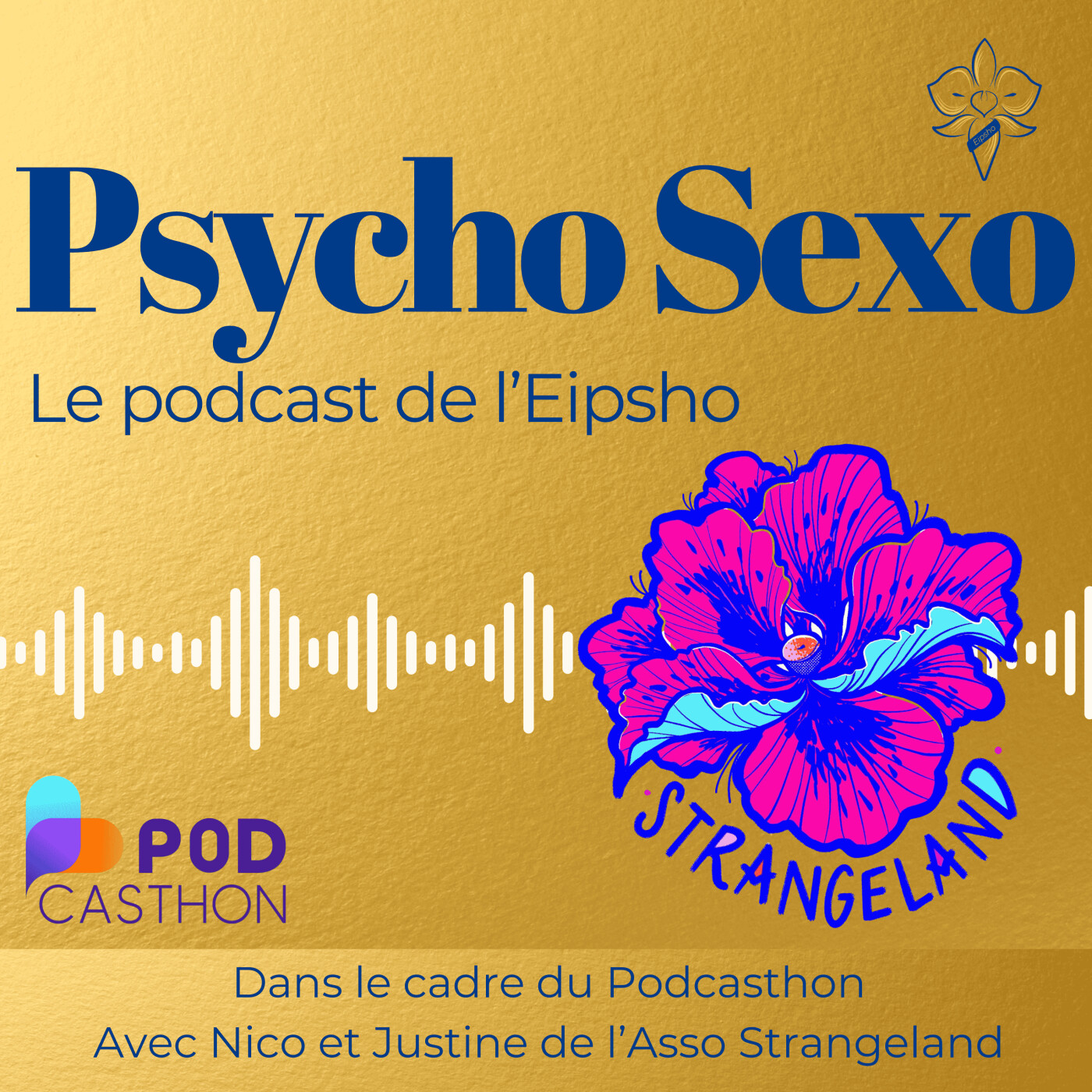 Psycho Sexo - clefs et outils pour accompagner la sexualité et lever les tabous