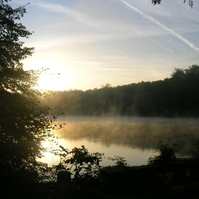 Visite guidée des Étangs de Commelles cover
