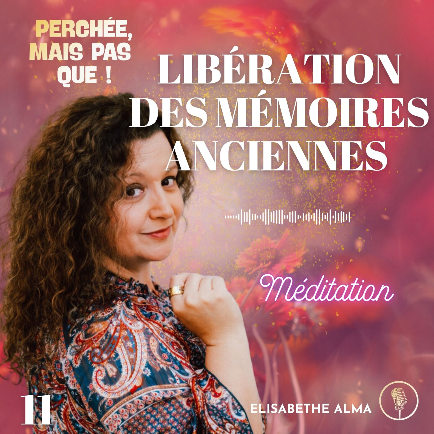 11. Re-programmation Méditative : Eveil à la Mère Originelle & Libération des Mémoires Anciennes episode artwork