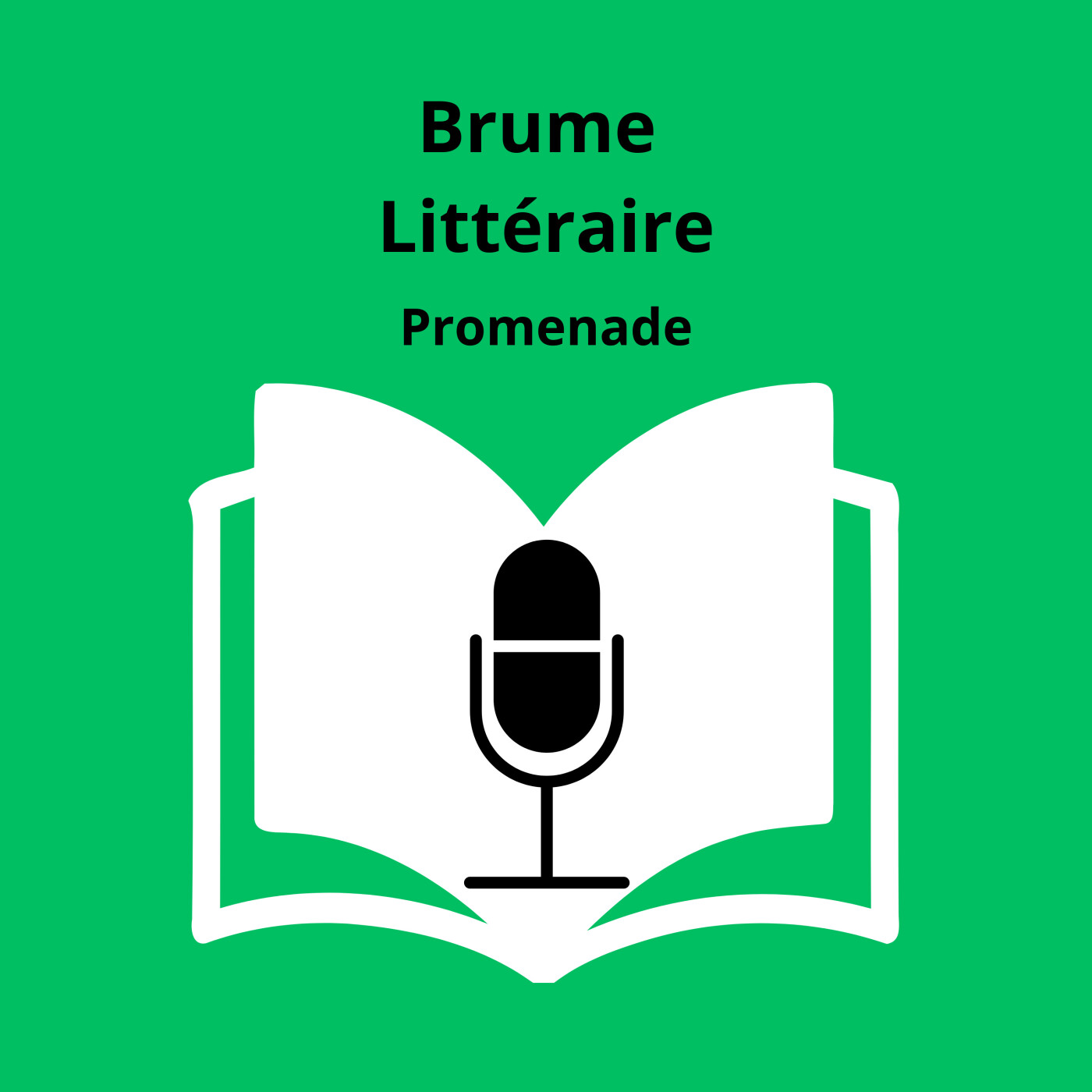 Brume Littéraire - La littérature en clair