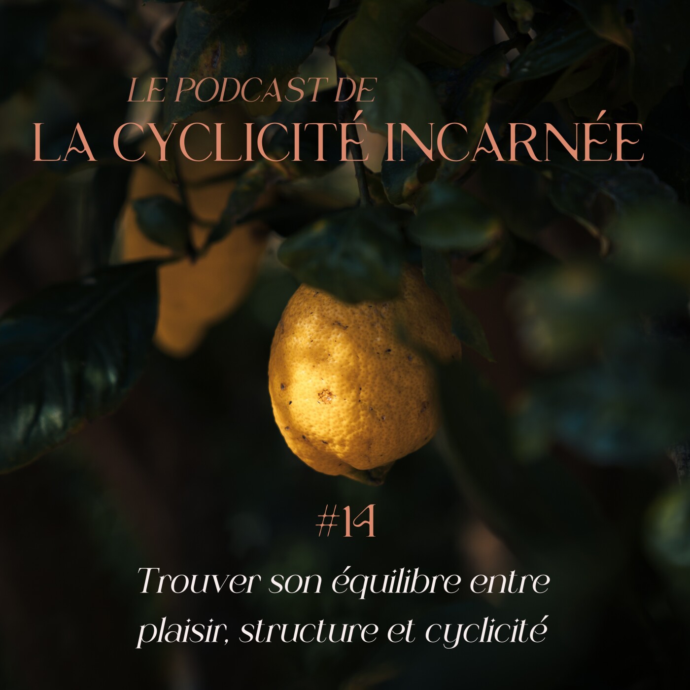 Cyclicité Incarnée