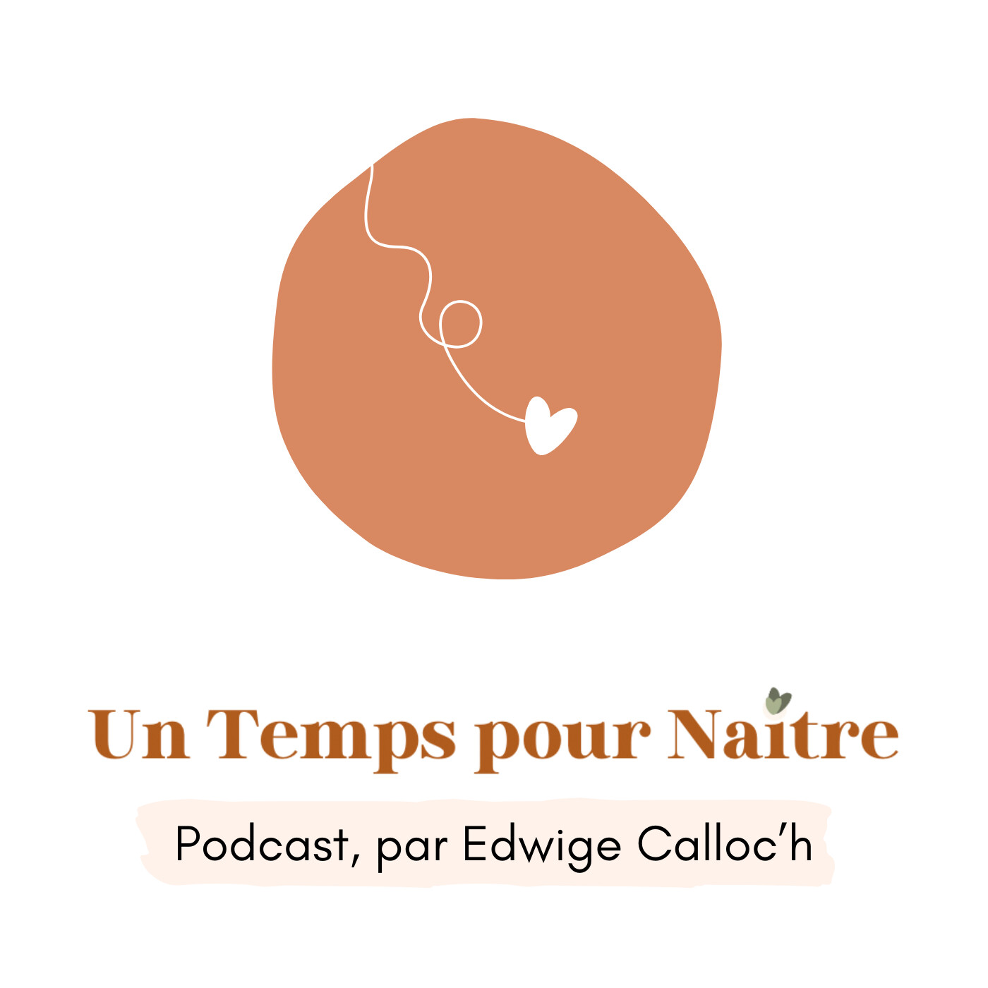 Quelles précautions alimentaires pendant la grossesse ? On fait le point avec Noa @dietalanoa_ !