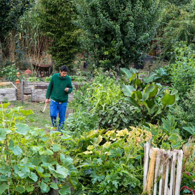 Episode 46, Xavier Mathias, auteur et paysan, spécialiste de la permaculture et du jardinage durable cover