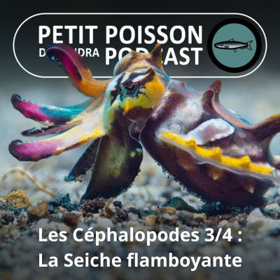 Show cover