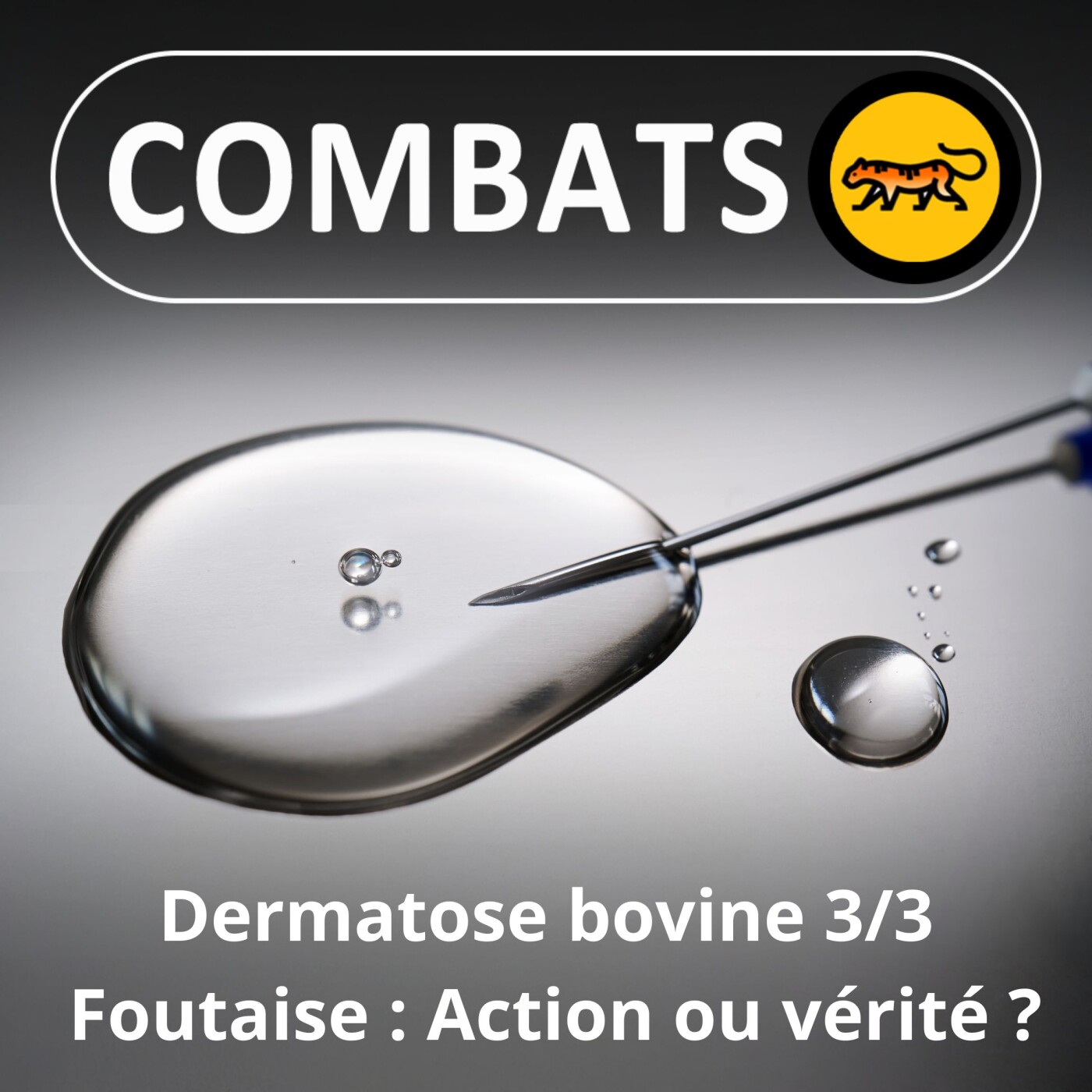 S05E44 Dermatose bovine 3/3 : Foutaise (Action ou vérité ?)