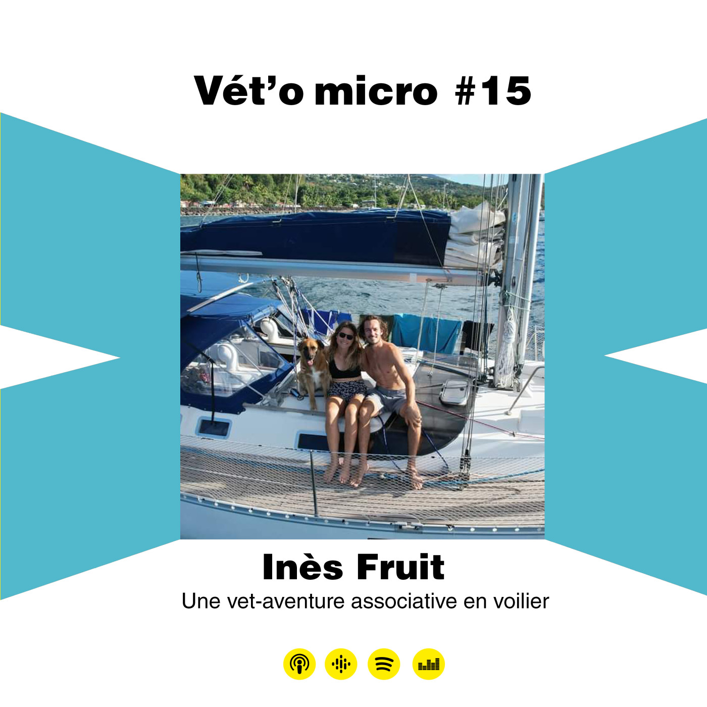 Vet\'o micro