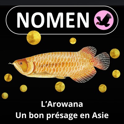 Show cover