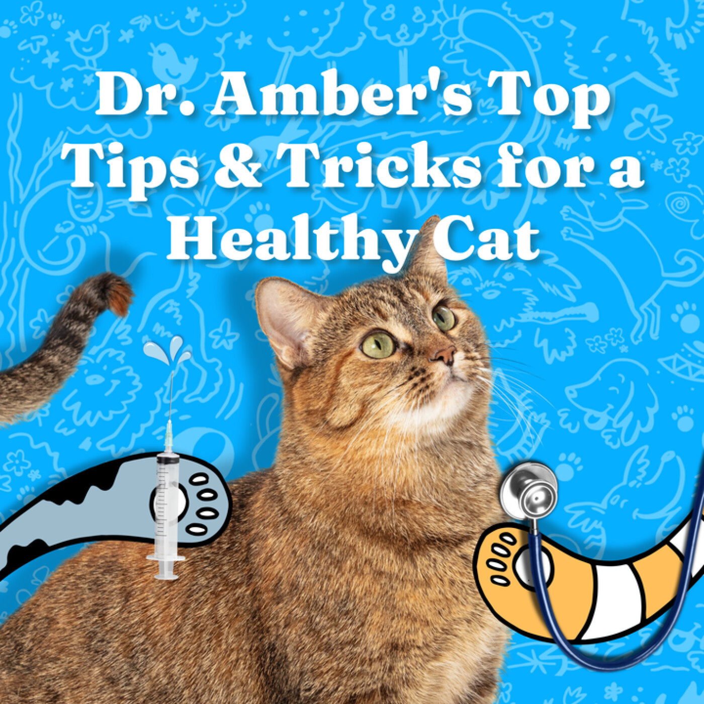 Dr. Amber's Top Tips & Tricks for a Healthy Cat episode artwork