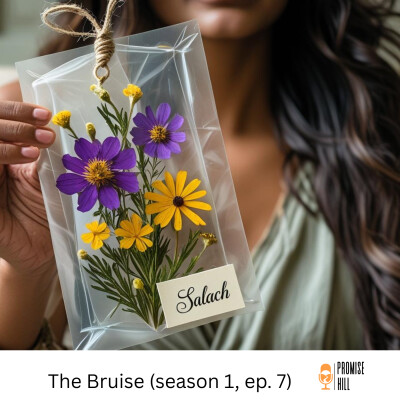 The Bruise cover