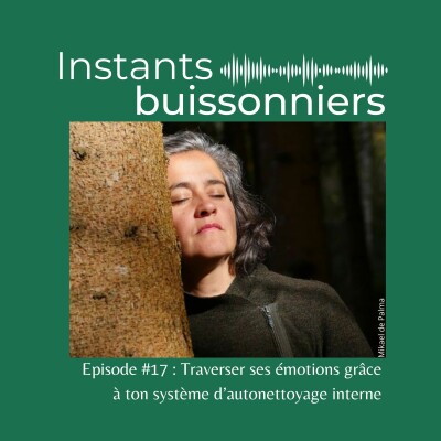 Episode 17 : Traverser tes émotions grâce à ton système d'auto-nettoyage interne cover