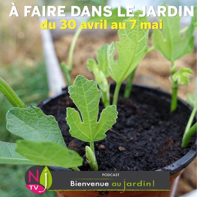 QUE FAIRE DANS LE JARDIN DU 30 AVRIL AU 7 MAI ? cover