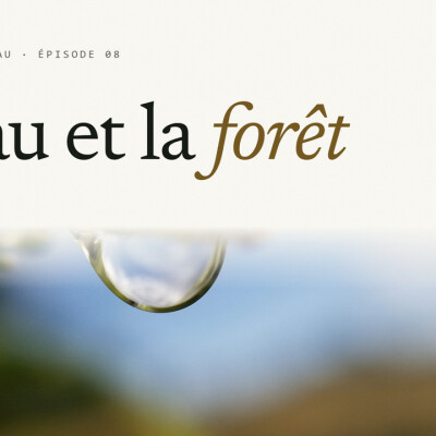 L'eau et la forêt cover
