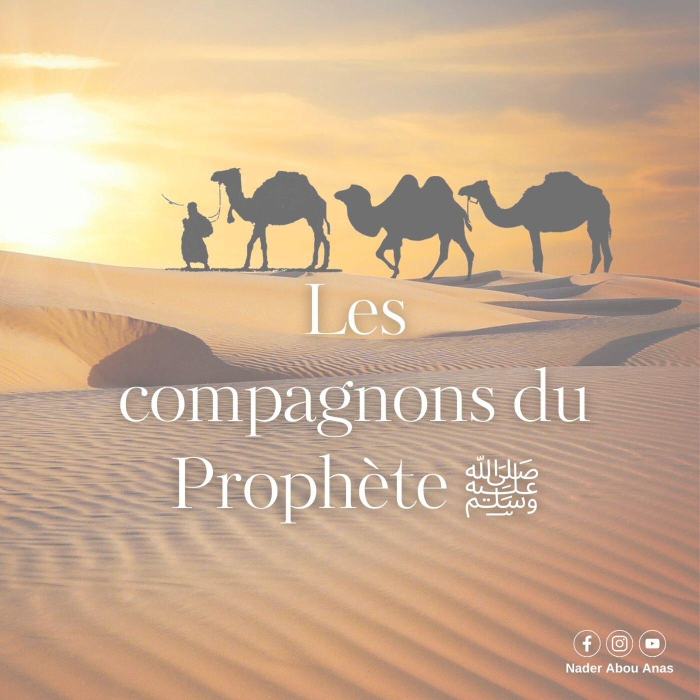 Le compagnon Julaybib episode artwork