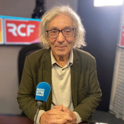 Le français, parlons-en ! Boualem Sansal cover