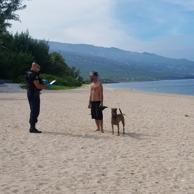 Gendarmes : "Le confinement s'applique" durant les vacances cover