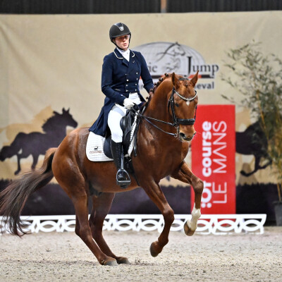 🐎 Dressage • Le choix du cheval cover