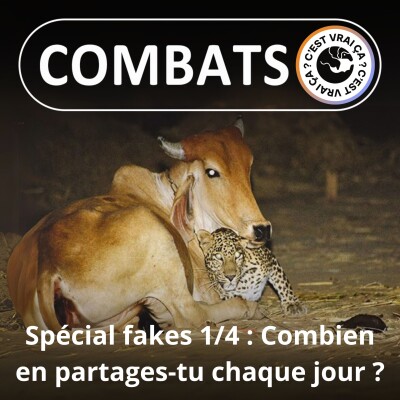 SPÉCIAL Fakes 1/4 : Combien en partages-tu chaque jour ? cover