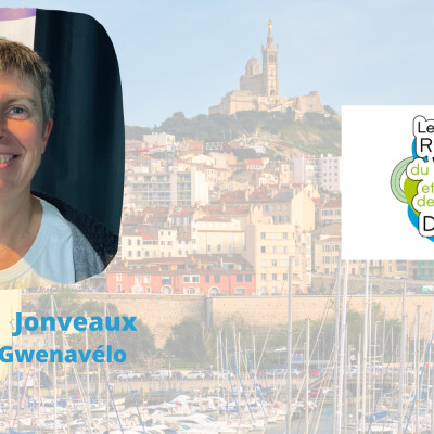 Gwenaelle Jonveaux -  Gwenavelo cover