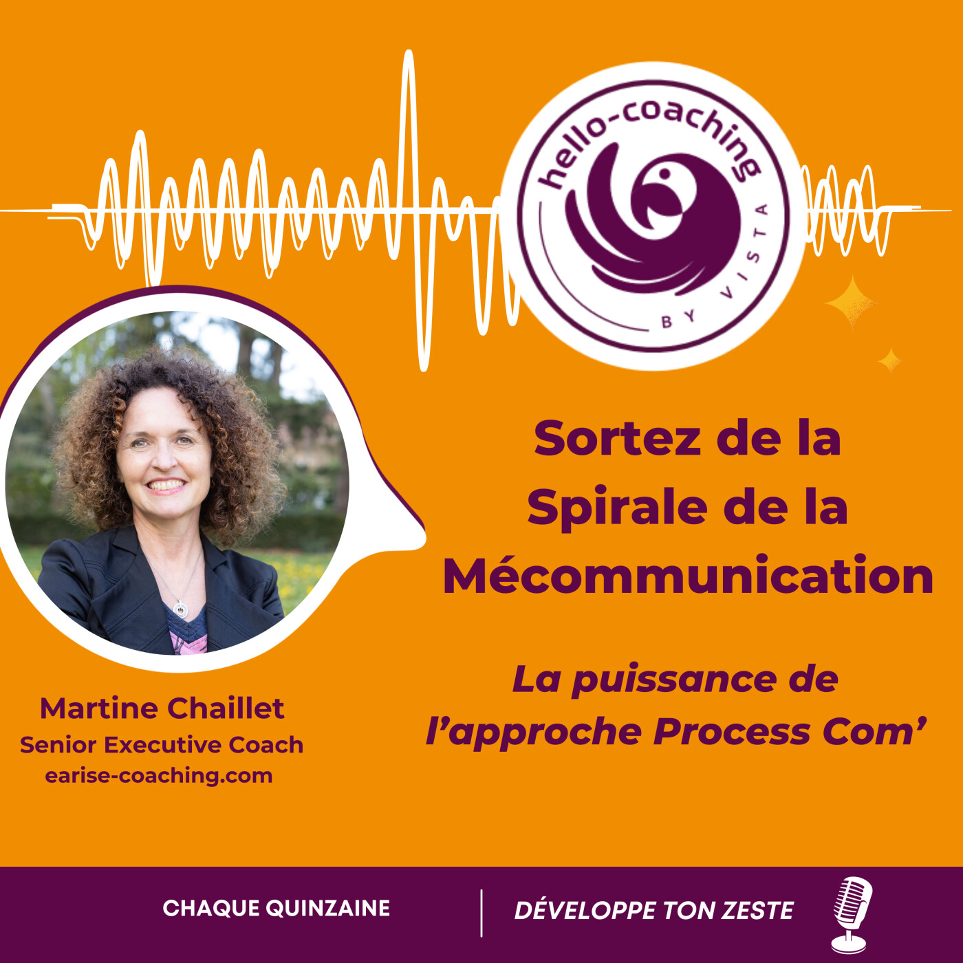 Sortez de la Spirale de la Mécommunication avec Process Com' episode artwork