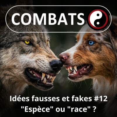 S06E12 Idées fausses : Espèce ou race ? cover