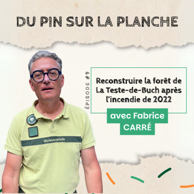Reconstruire la forêt de La Teste-de-Buch après l’incendie de 2022 - Fabrice Carré cover