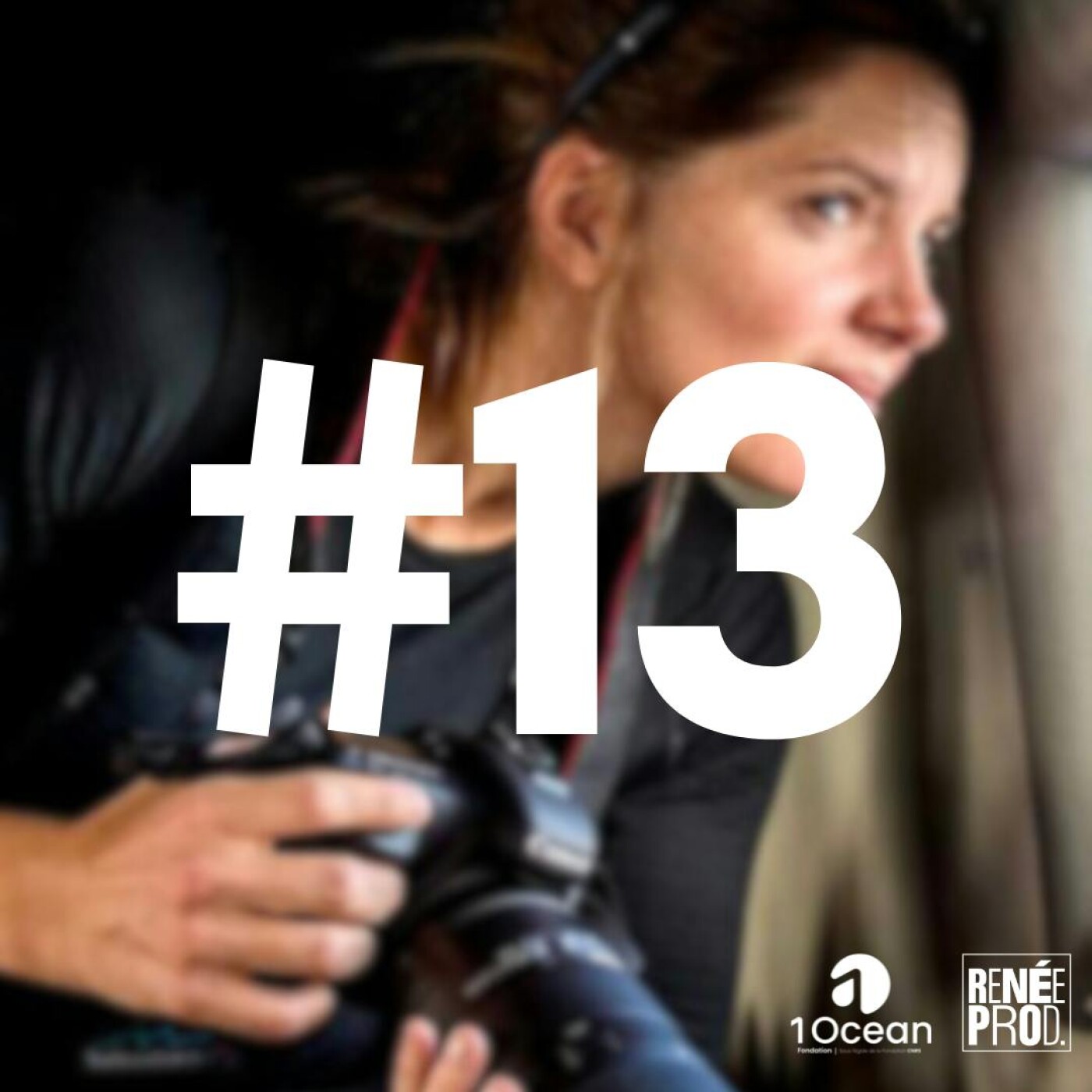 Plongeon en Terres australes