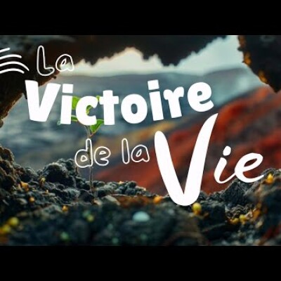 Parole et Évangile du jour | Mardi 17 septembre • Ne pleure pas cover