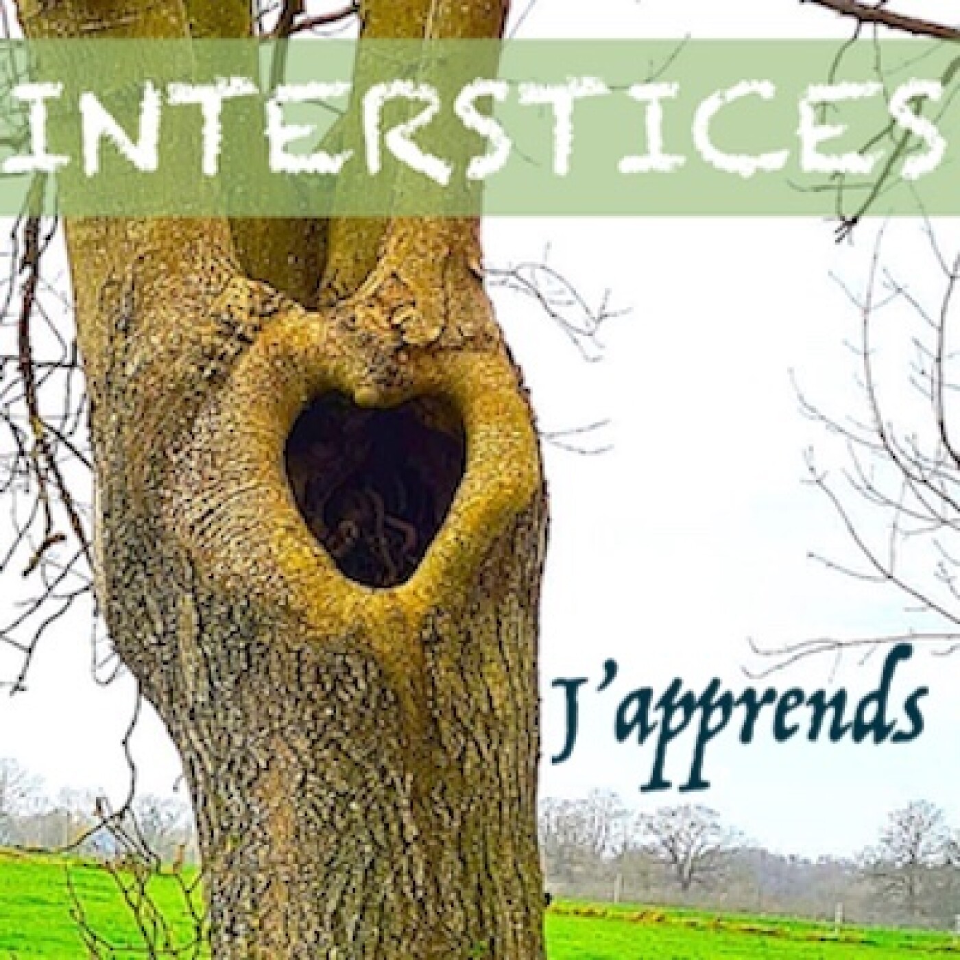 INTERSTICES