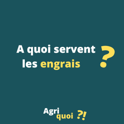 A quoi servent les engrais ? cover