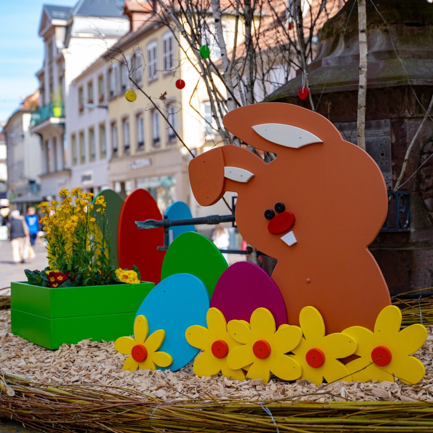 Haguenau : Concours photo episode artwork